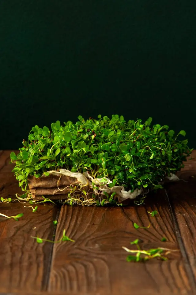 Microgreens specimen